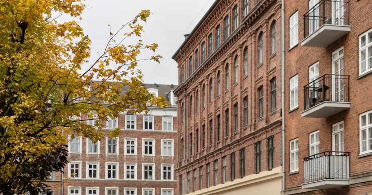 Projekt Søbred